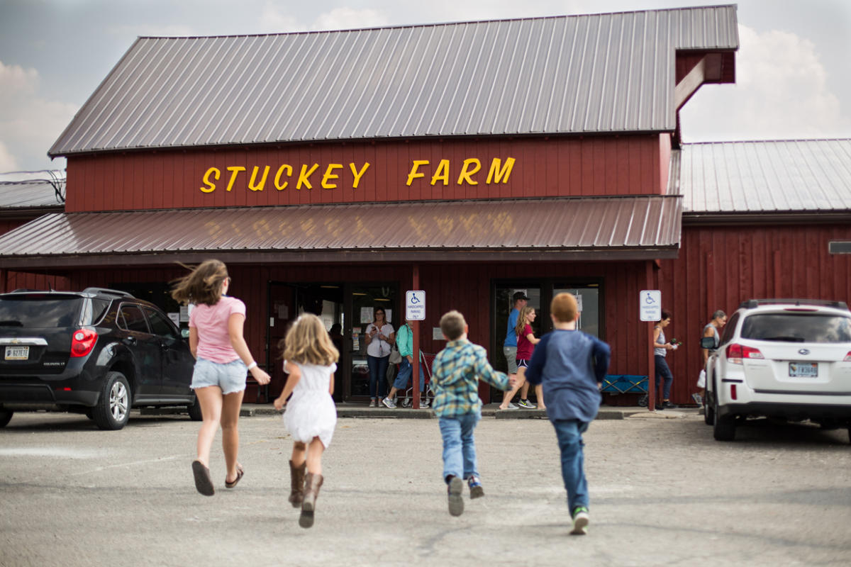 Stuckey Farm Orchard and Cider Mill