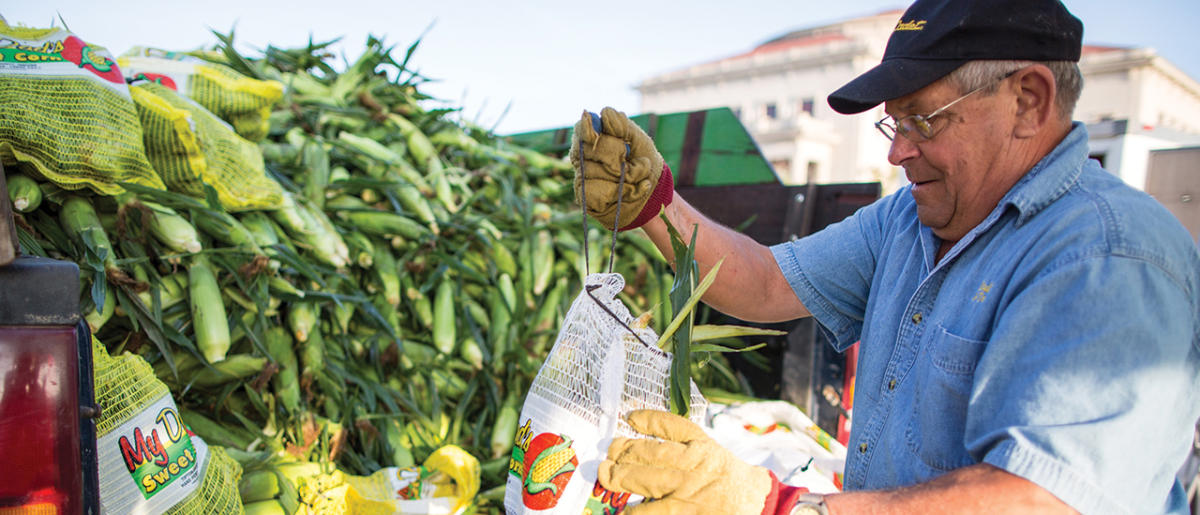 Carmel Farmers Markets