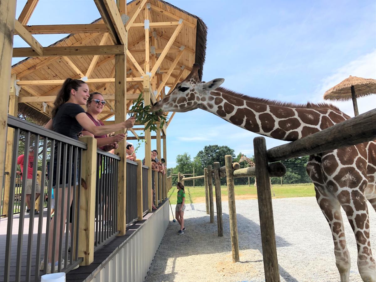 Lake Tobias Wildlife Park