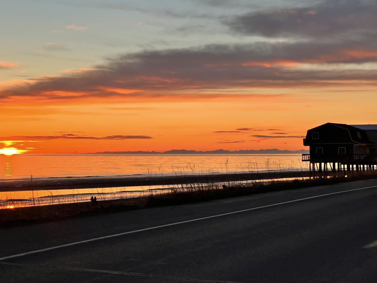 Ocean Shores Homer: Why This Coastal Washington Spot Is Different