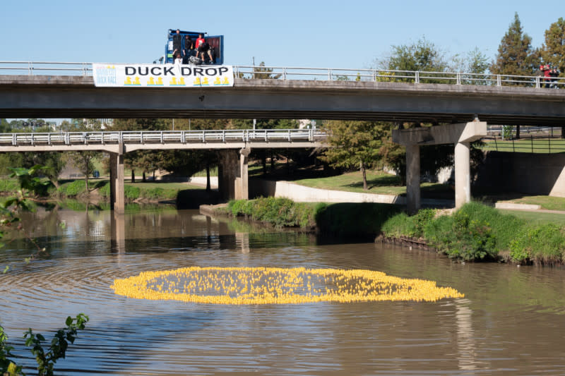 AFA's 8th Annual Bayou City Duck Race