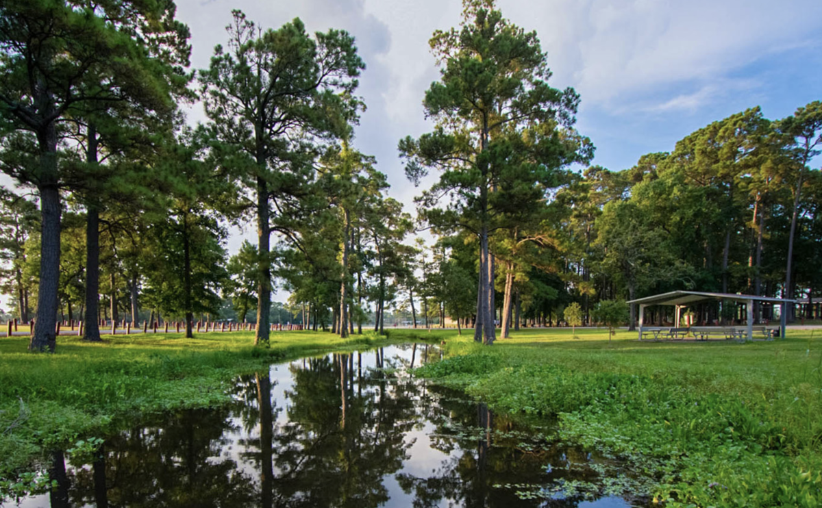 Alexander Deussen Park  Things To Do in Houston, TX