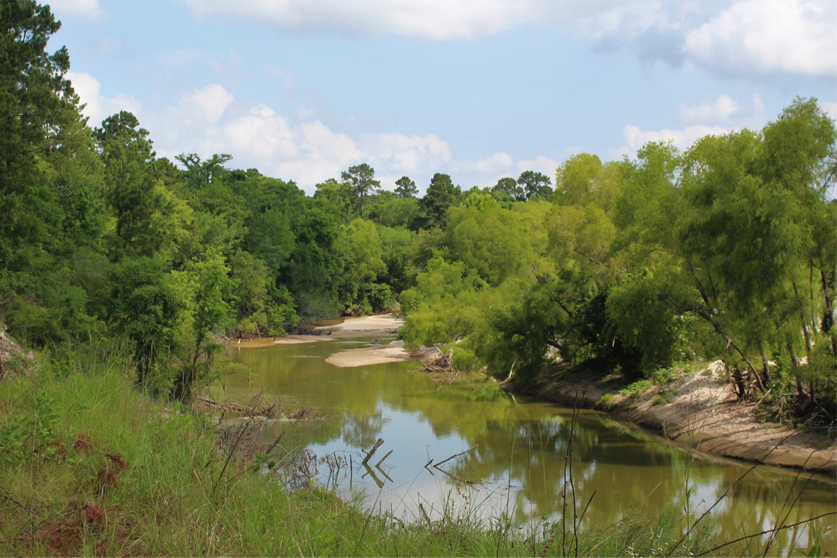 Little Cypress Creek Preserve - Visit Houston Texas