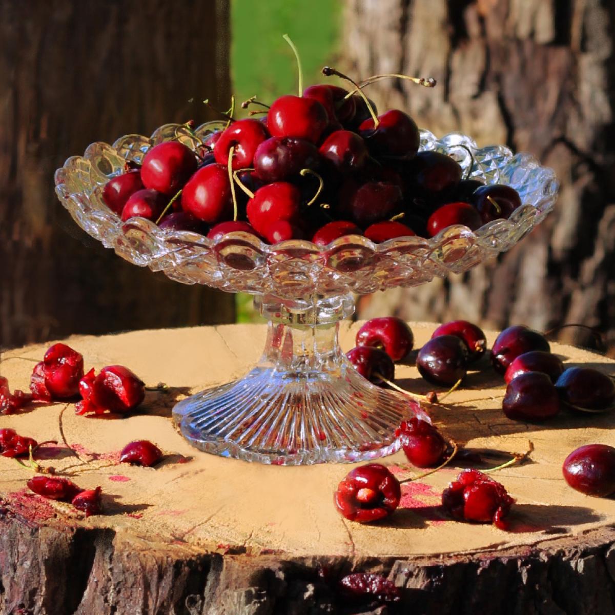 The Cherry Orchard
