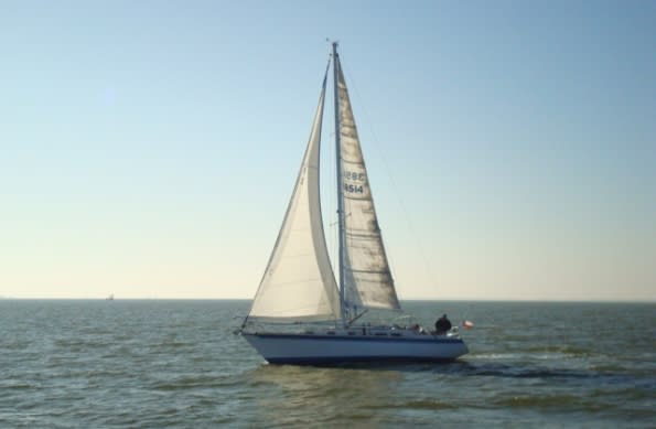 South Coast Sailing Adventures | Things To Do in Kemah, TX
