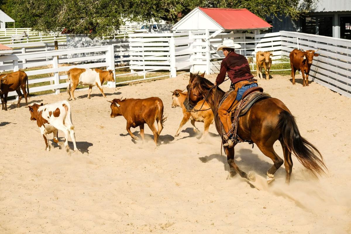 Ranch Historical Park Things To Do in Richmond, TX