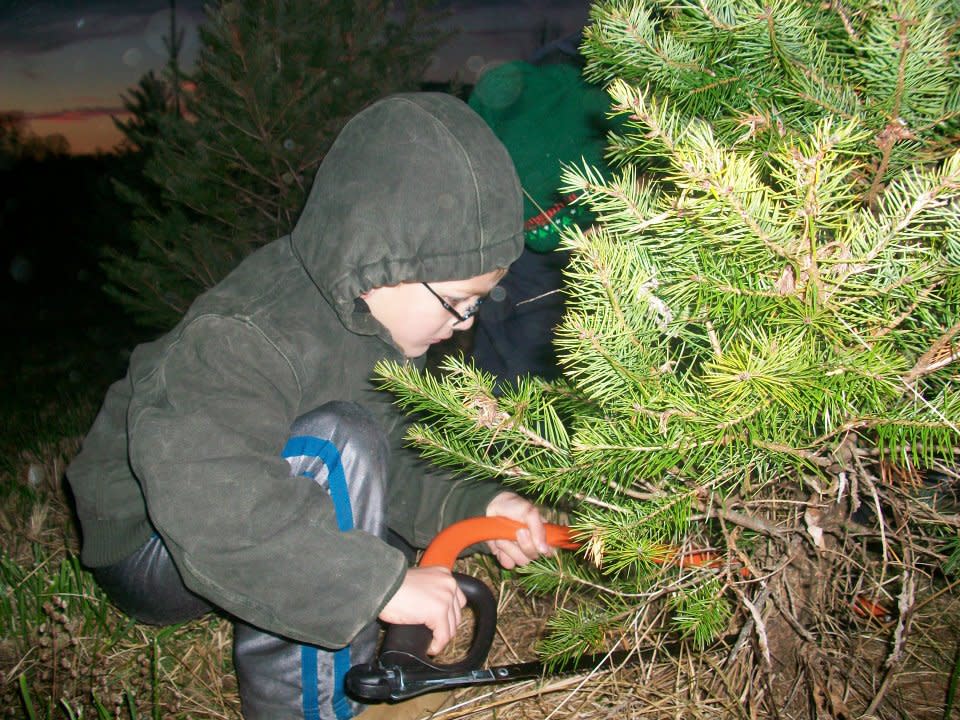 TLV Tree Farm Glenelg, MD 21734