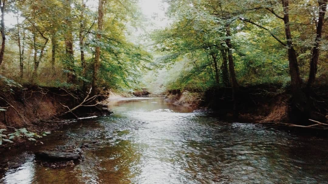 Creek up. Брайсес крик река. Река Маджела крик. Creek арты.