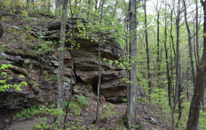 Green Mountain Nature Preserve