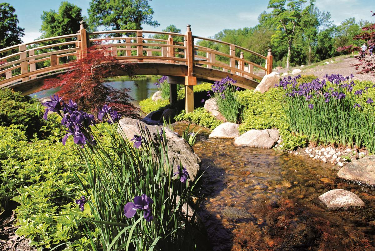 Wellfield Wellfield Botanic Gardens