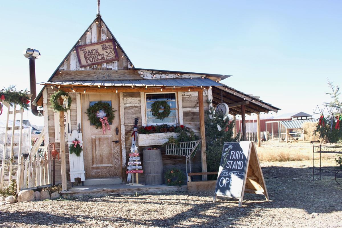 Red Acre Christmas