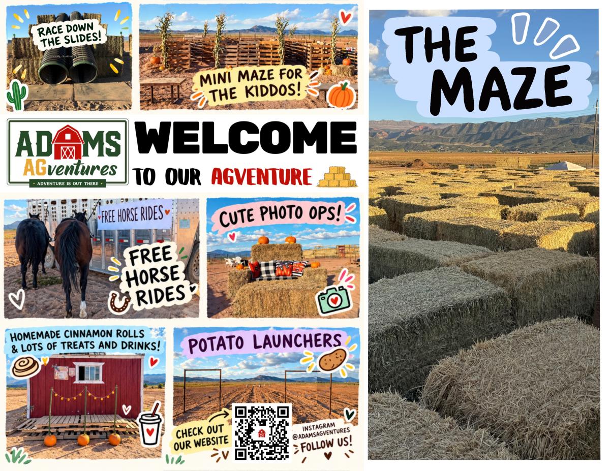 Adams AGventures: Straw Bale Maze & more