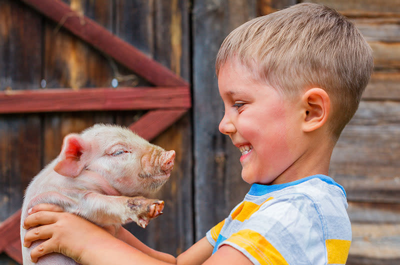 Animal Experience at Fritz Park