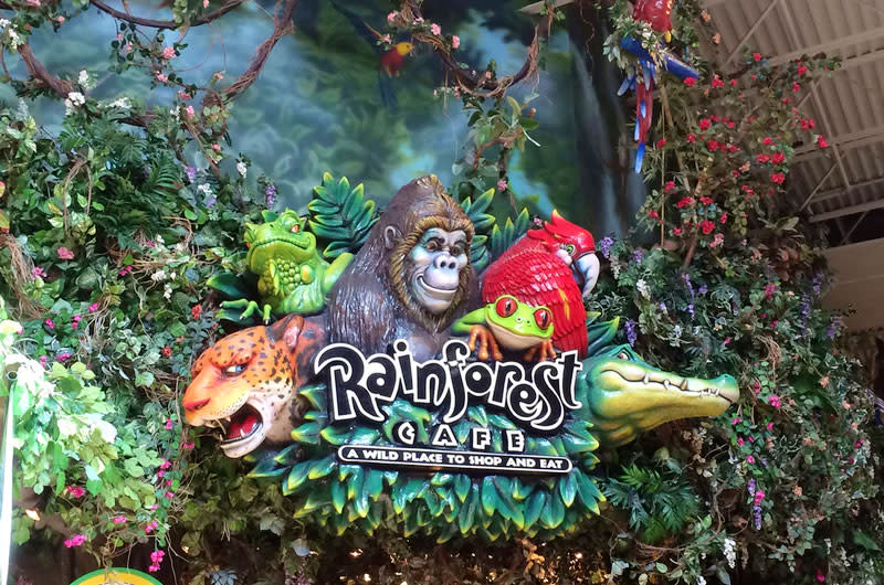 the special Wild Wonders - Tastes of Central America menu - Picture of Rainforest  Cafe, Schaumburg - Tripadvisor