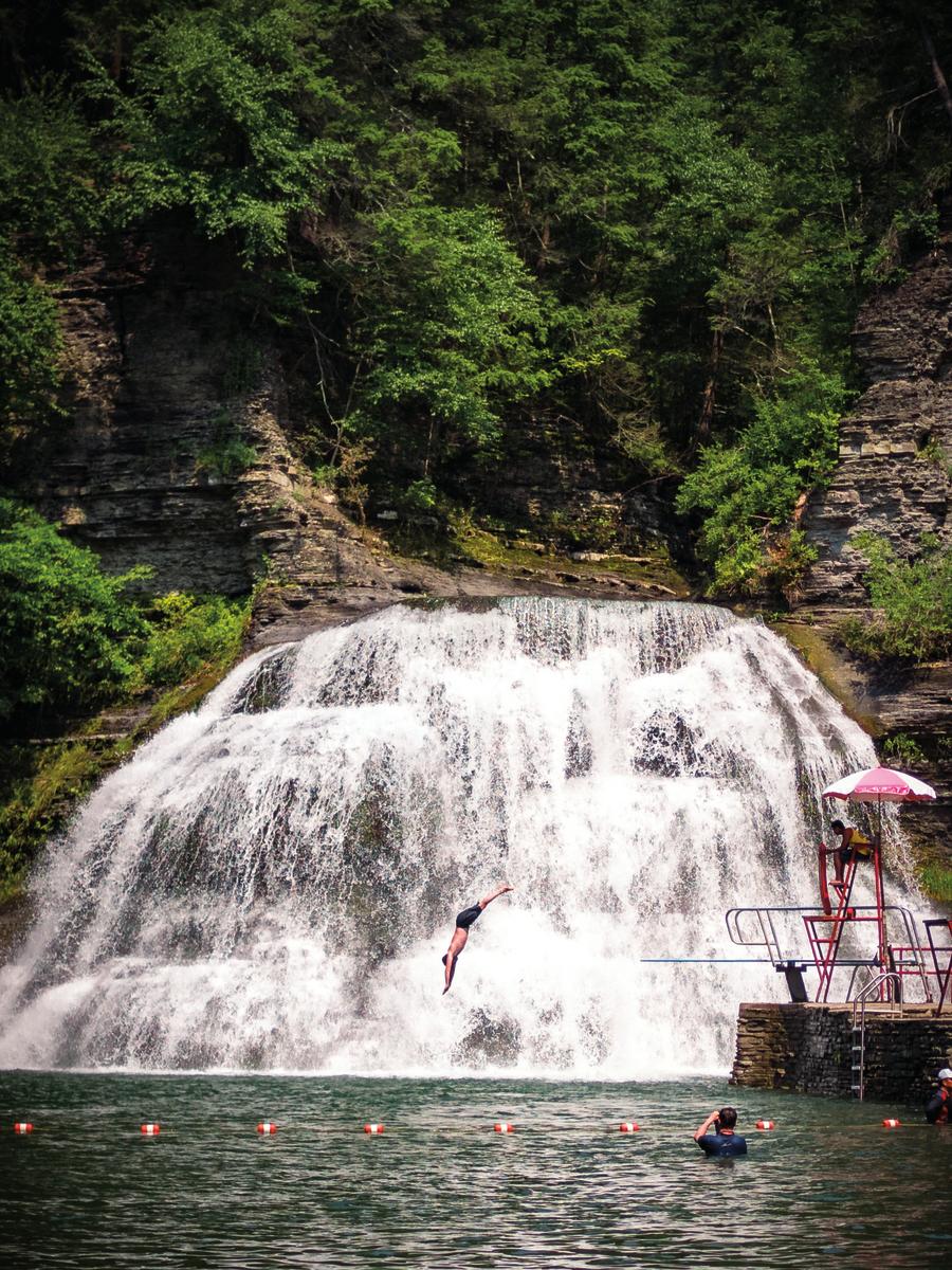 Enfield Falls at Robert H. Treman State Park