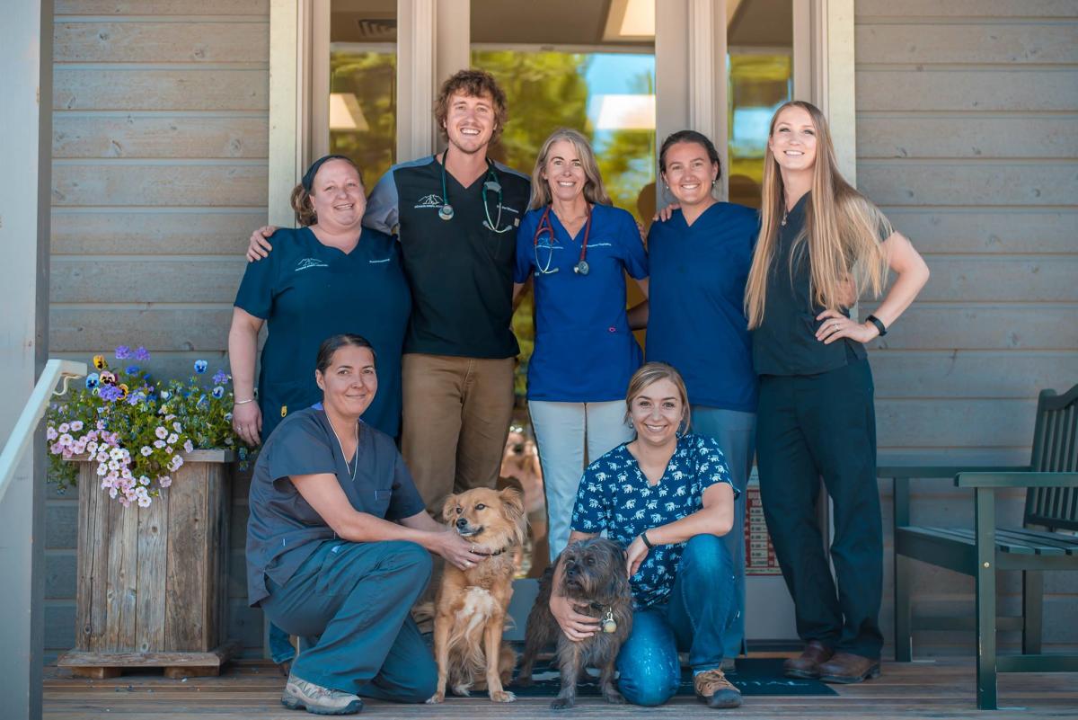 Jackson Animal Hospital