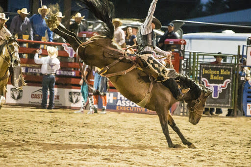Jackson Rodeo Portrait Jackson Hole Rodeo