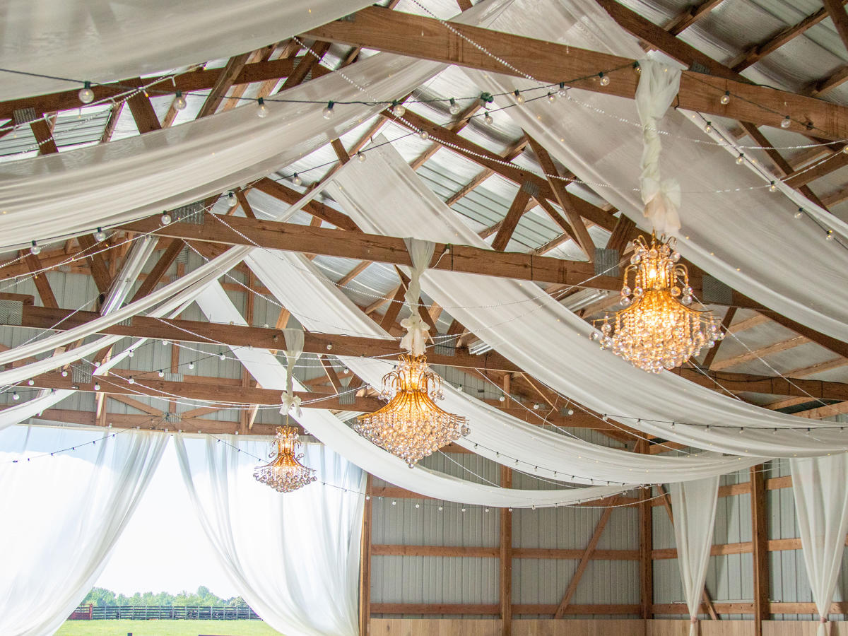 The Barn @ Wood Angus Farm, image size:1200x900