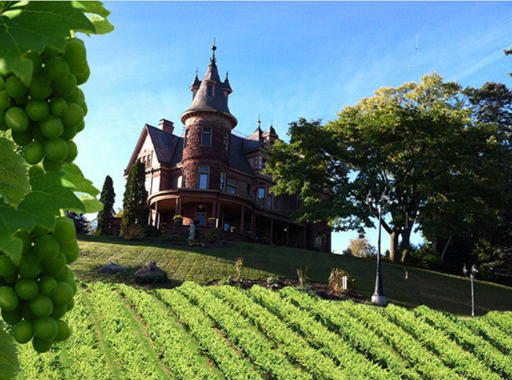 Wine Tasting at Henderson Castle