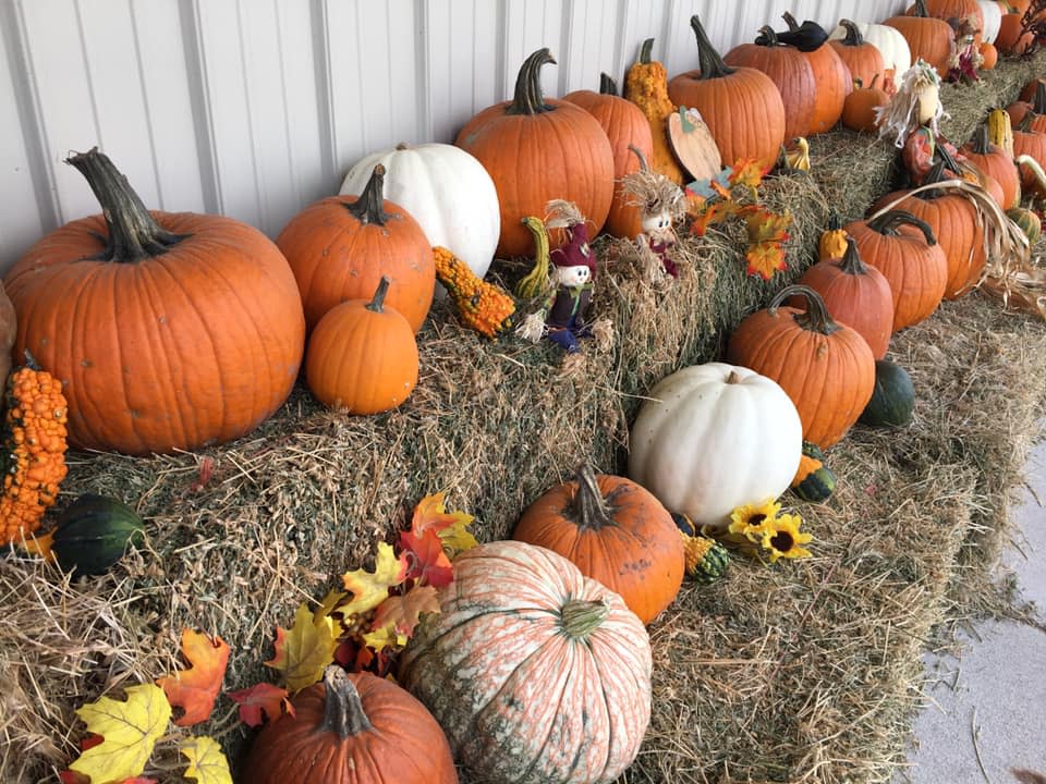 Pa's Pumpkin Patch Hays KS, 67601
