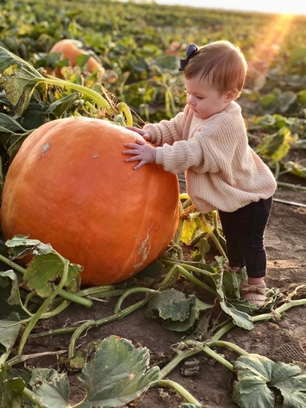 Sunny Side Patch Assaria KS, 67416