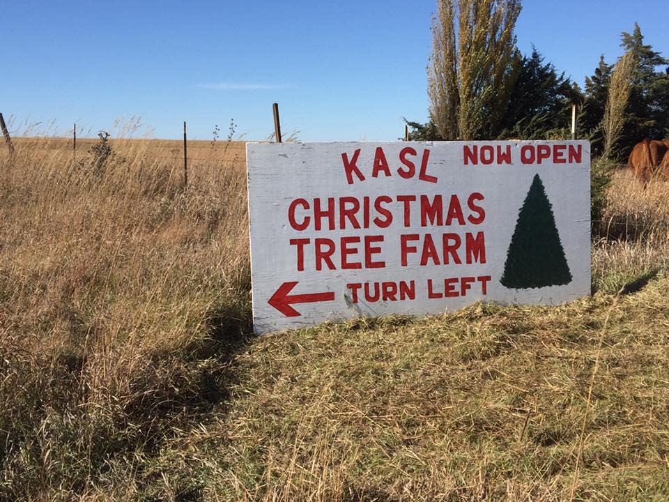 Kasl Christmas Tree Farm Belleville KS, 66935