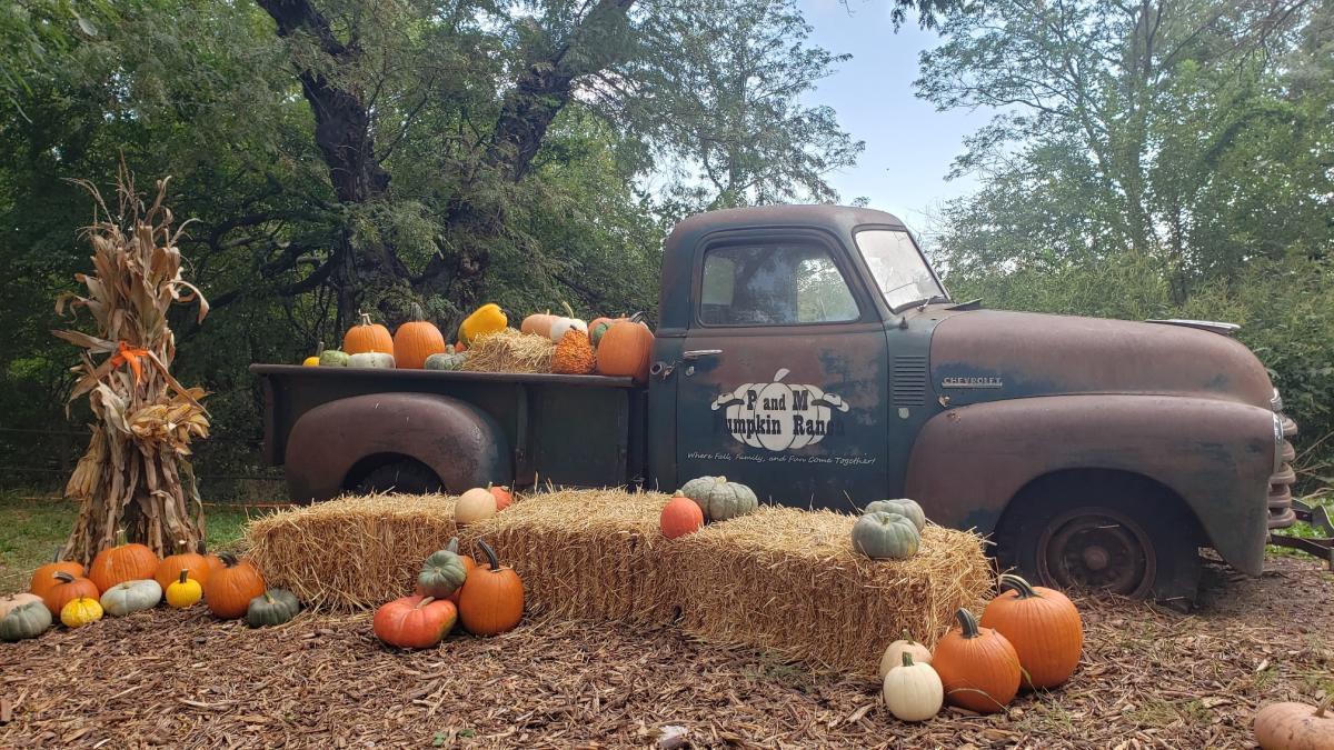P and M Pumpkin Ranch, LLC Moundridge KS, 67107