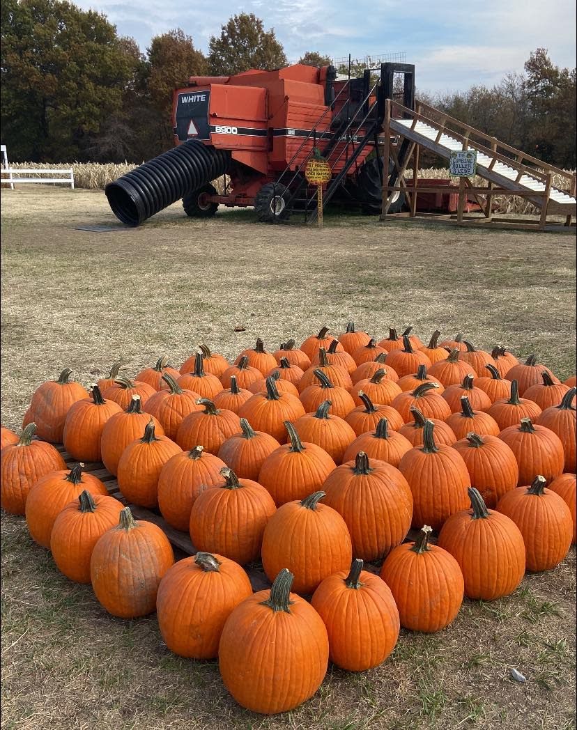 Wood Farms Pumpkin Patch Pittsburg KS, 66762