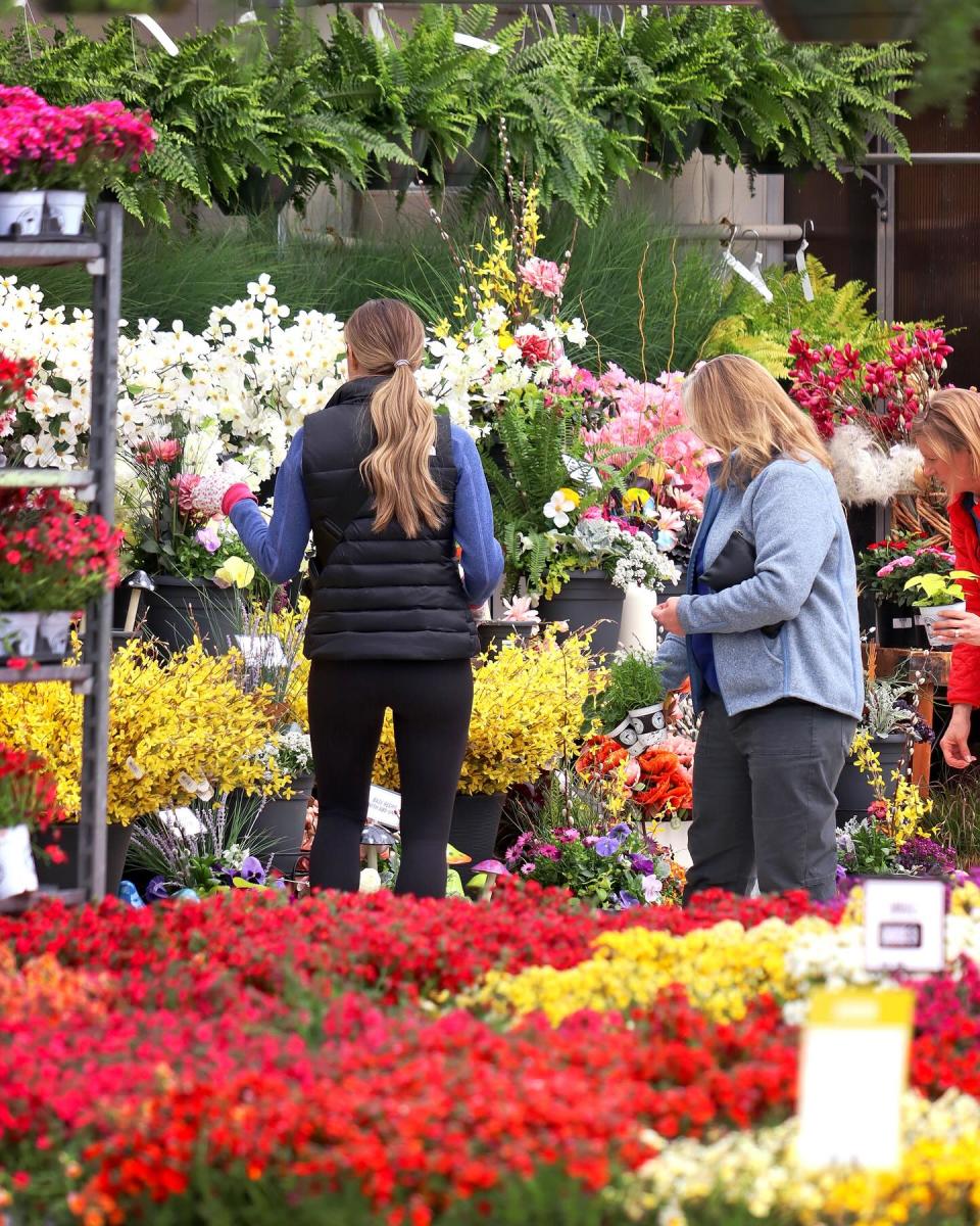 Family Tree Nursery Overland Park KS, 66212