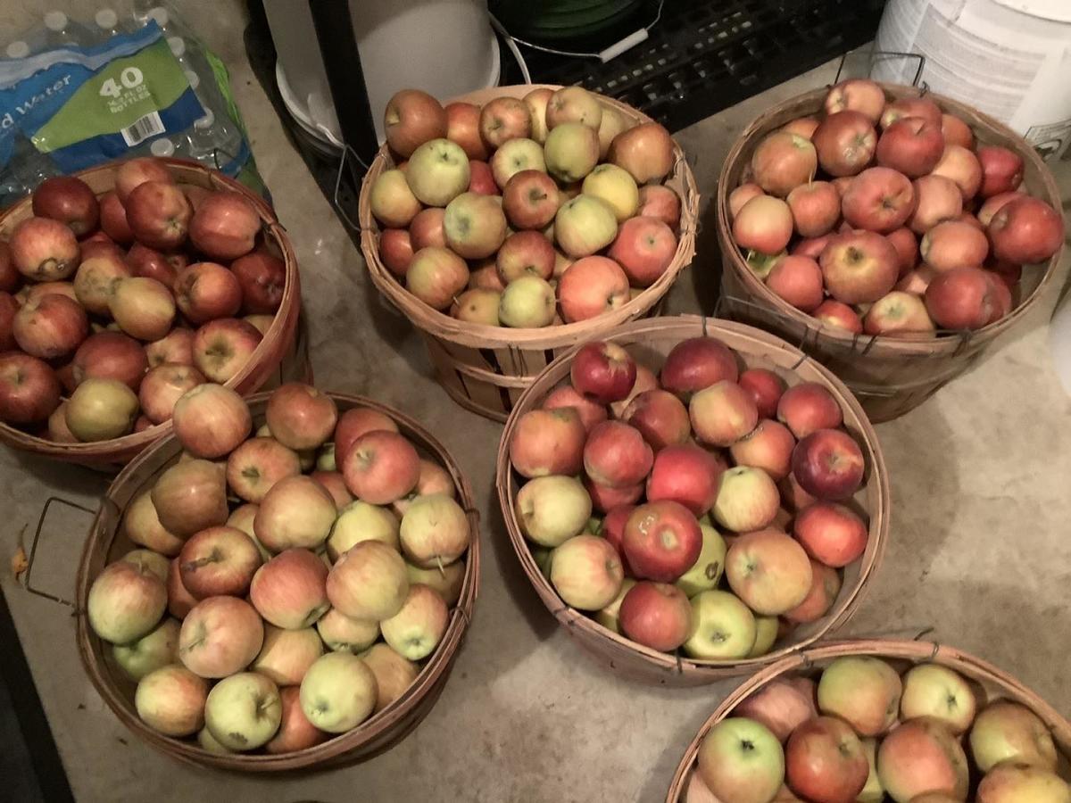 86th Street Orchard Topeka KS, 66618