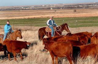 Fort Hays State University Farm - Hays KS, 67601