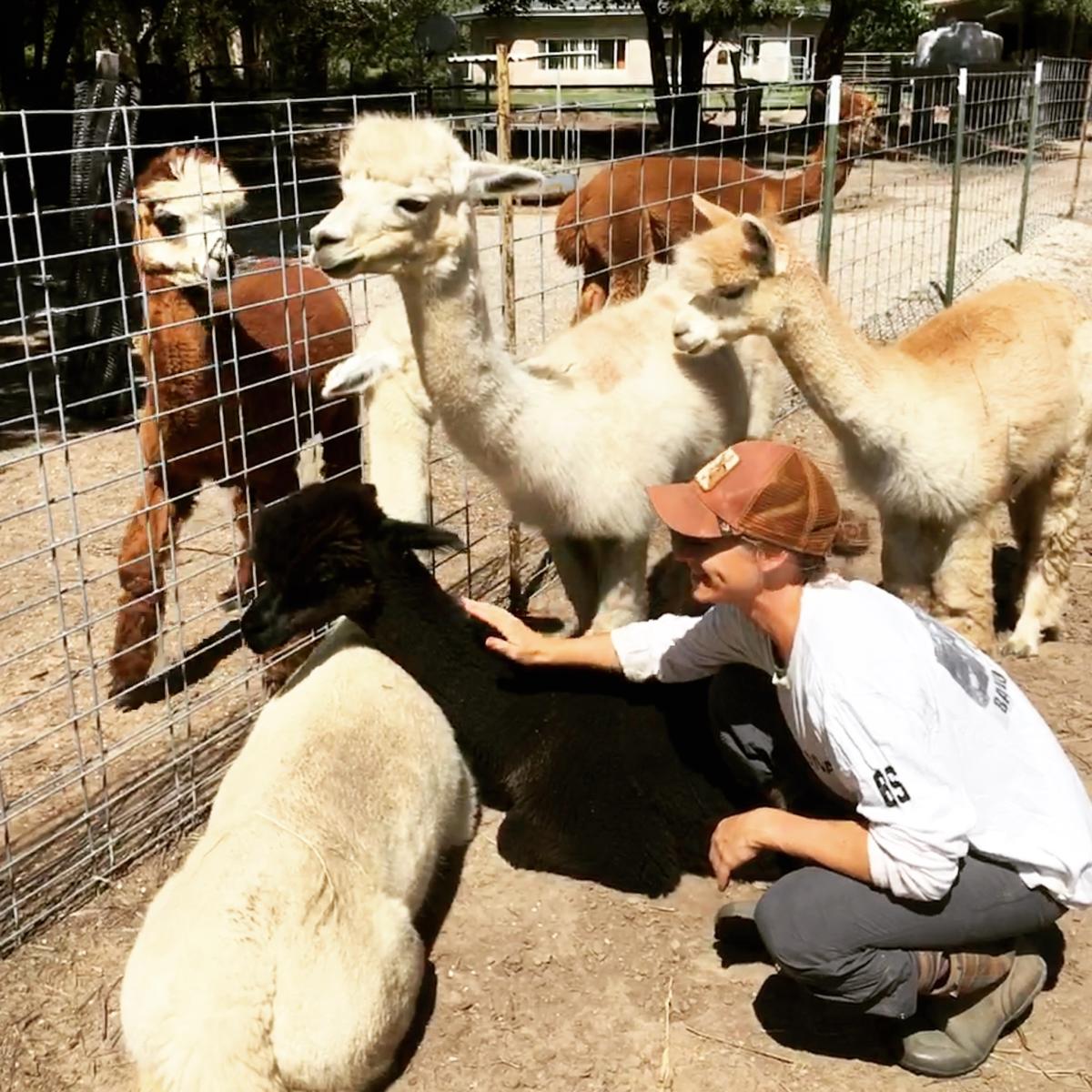 Heartland Farm Pawnee Rock KS, 67567