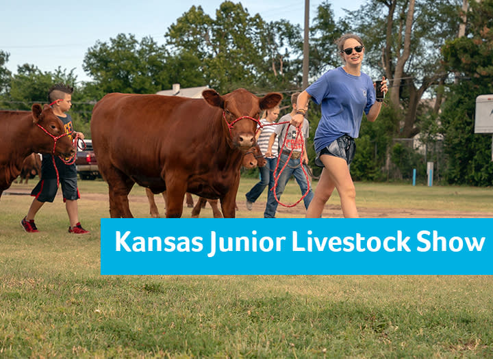 2024 Kansas Jr Livestock Show Hutchinson KS, 67502