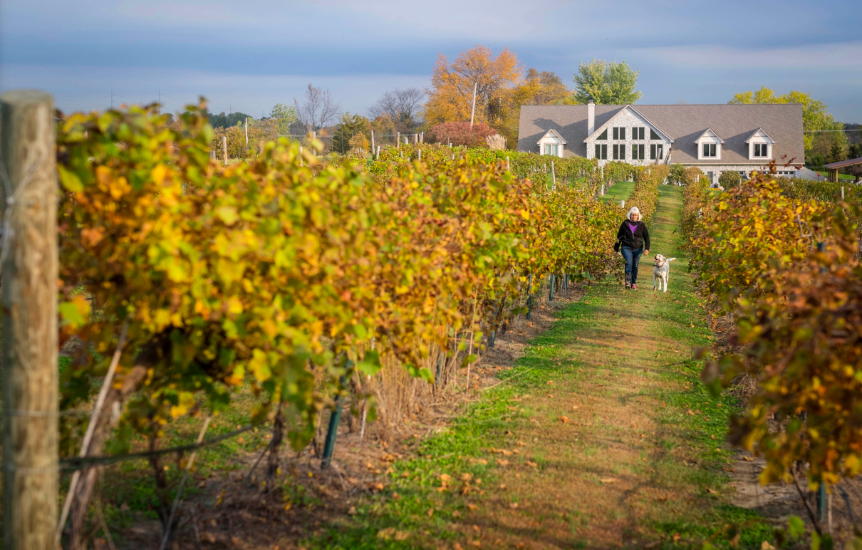 Rowe Ridge Vineyard & Winery Kansas City KS, 66109