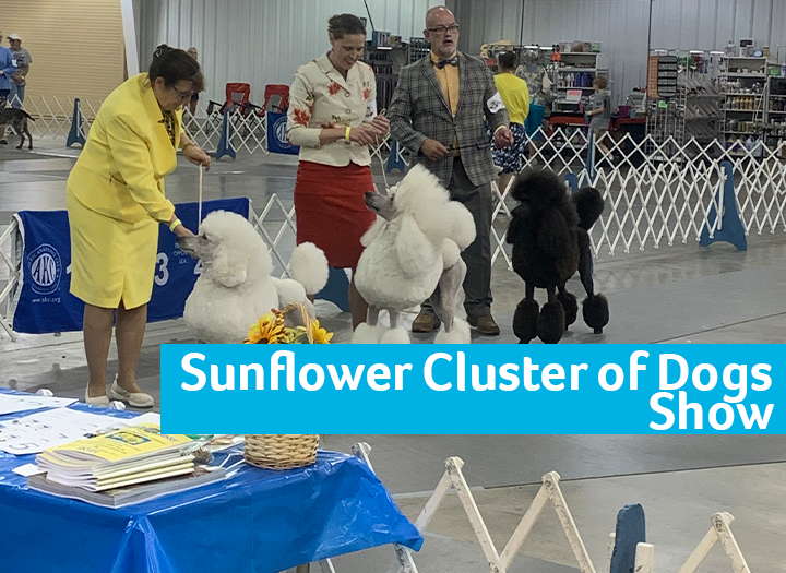 2024 Sunflower Cluster Dog Show Hutchinson KS, 67502