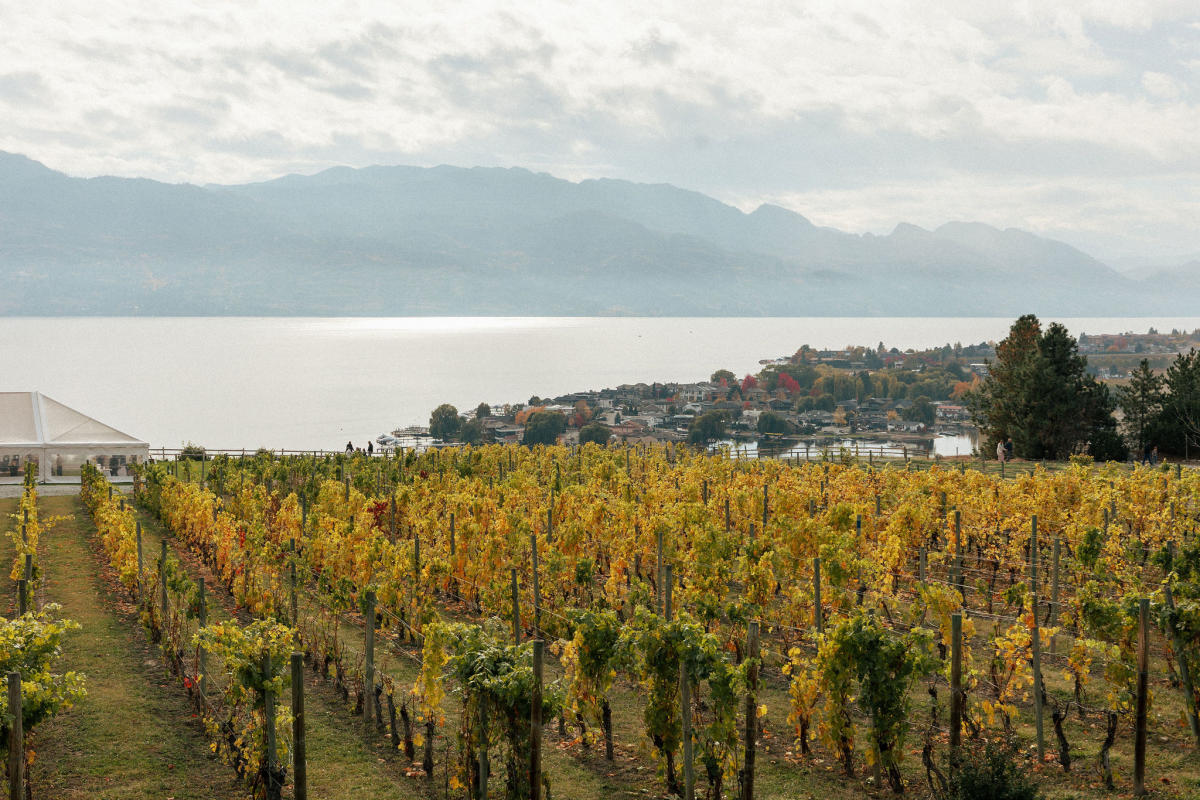 Harvest Celebration Tour & Tasting