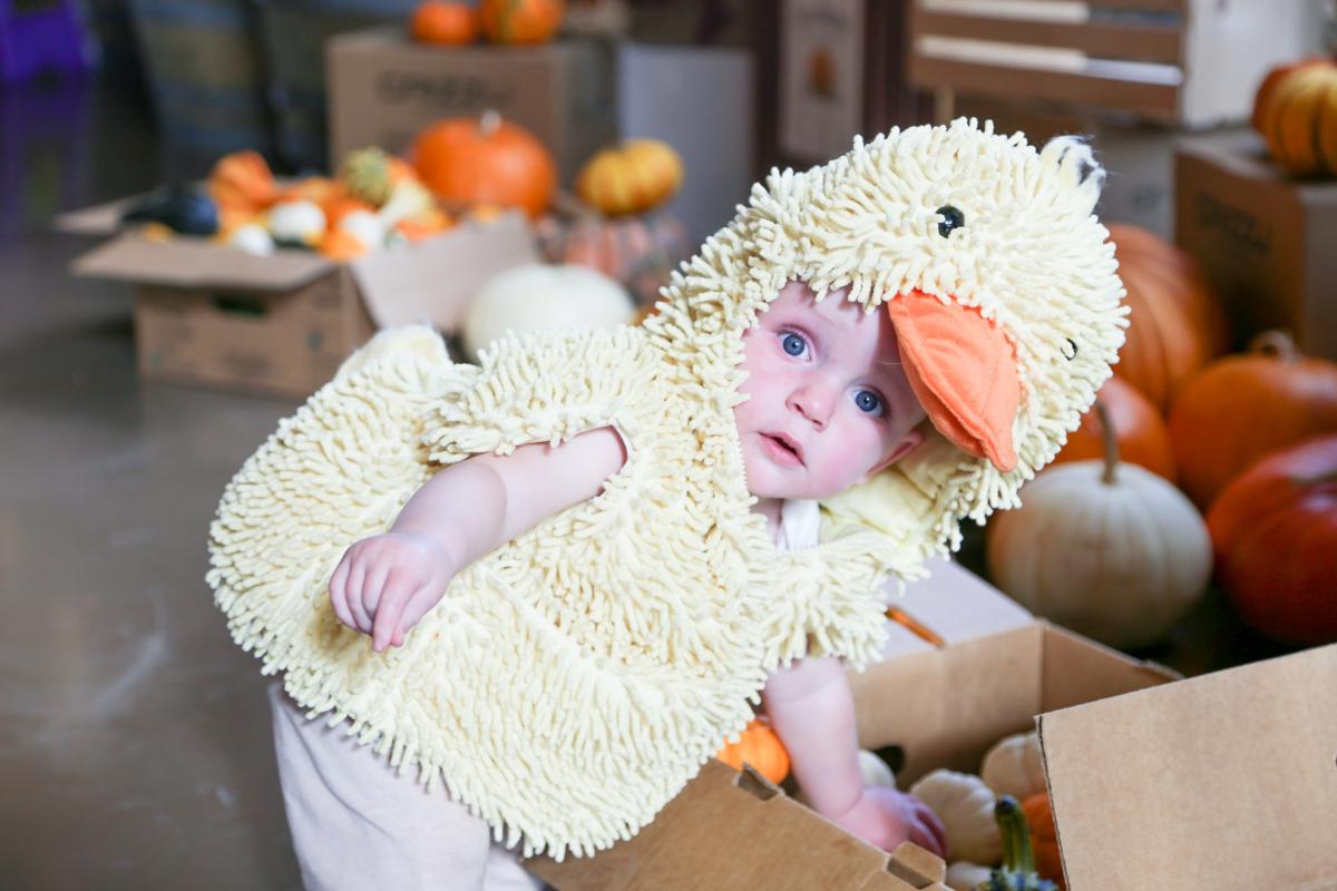 6th Annual Halloweenie: Halloween Day Family Celebration