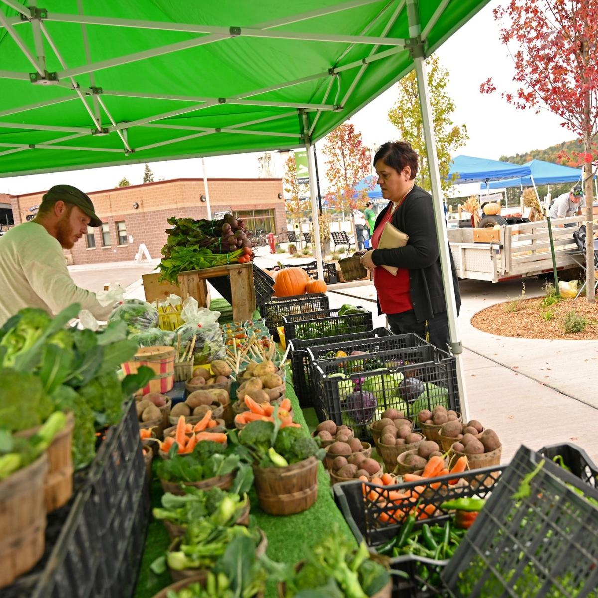 Houghton Farmers Market