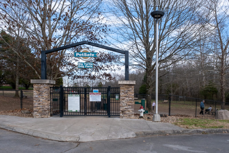 Big Turtle PetSafe Dog Park