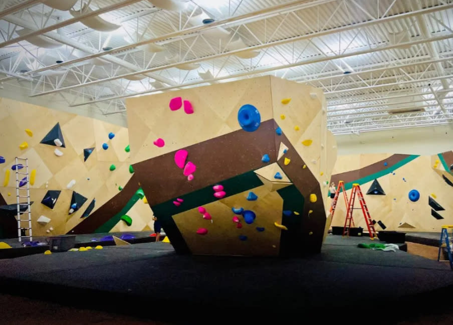 Climbing Roots | Knoxville, TN