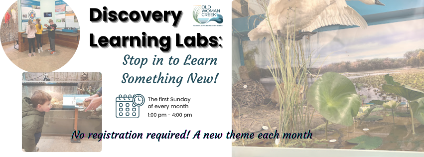 Discovery Learning Labs - Open House Explorations and Activities