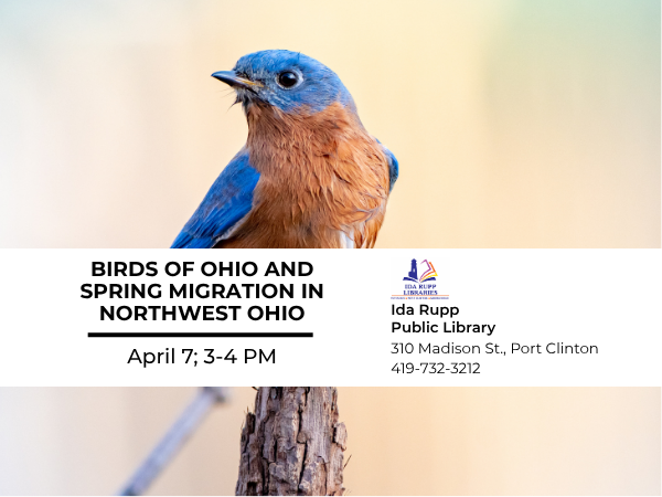 Birds of Ohio and Spring Migration in Northwest Ohio