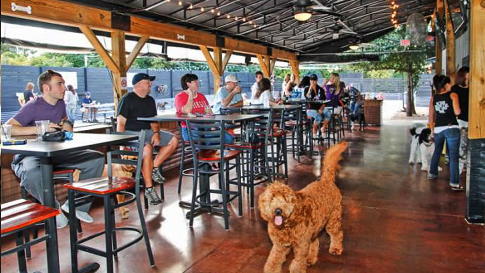 Trivia Thursdays at Lucky Dog LKN Cornelius NC 28031