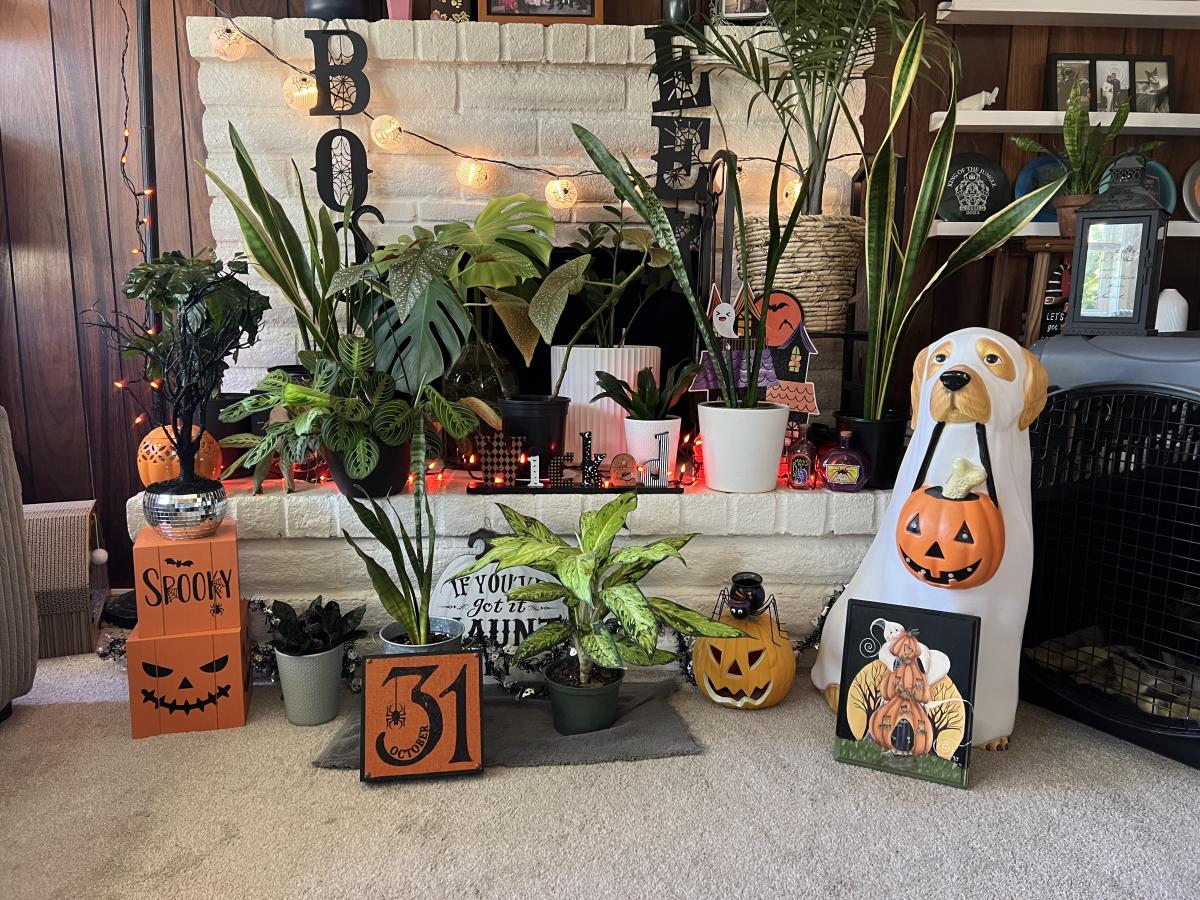 Flyer or photo for Spooky Plant Bingo at Gryff's Pub