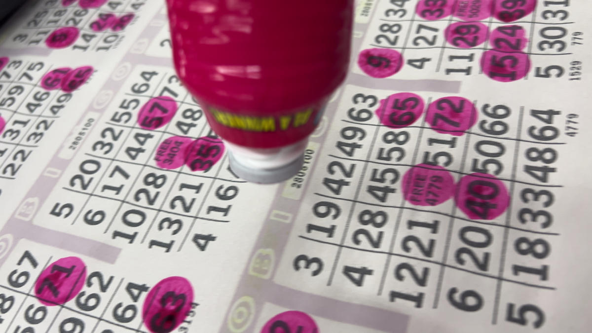 Flyer or photo for Family Bingo with Ty Connor at Drop Bear Brewery