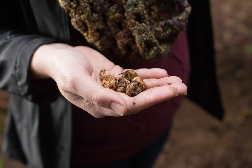 Oregon Truffle Festival