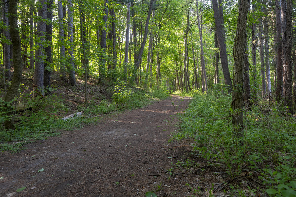Fenner Nature Center: Why This Lansing Escape Actually Matters