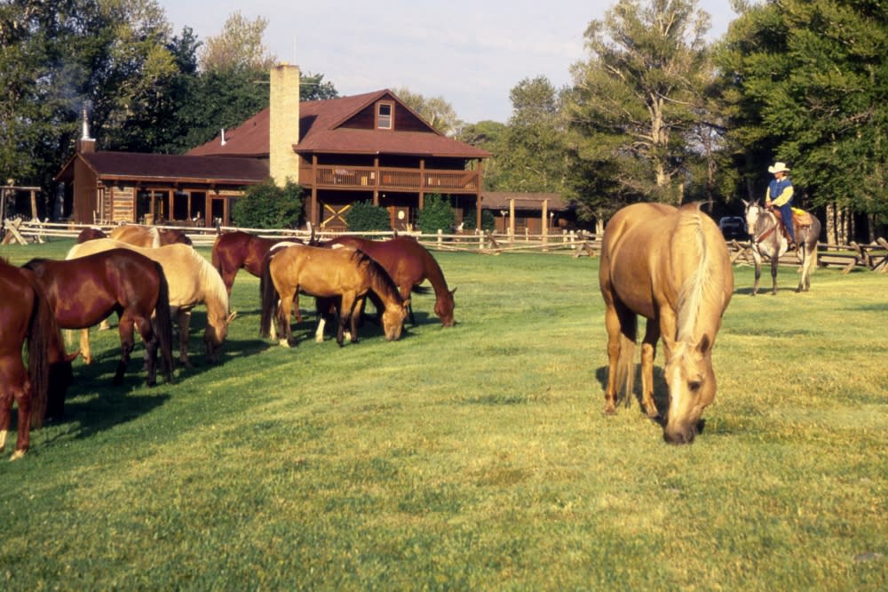 Western Dining Vee Bar Guest Ranch | Visit Laramie