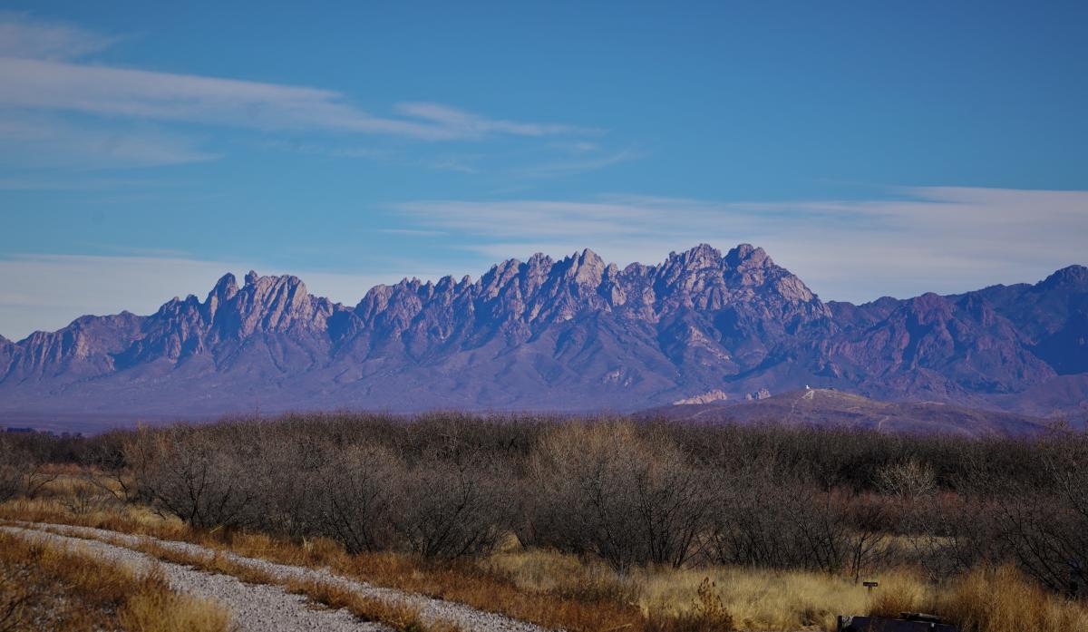 Mesilla Valley Bosque State Park