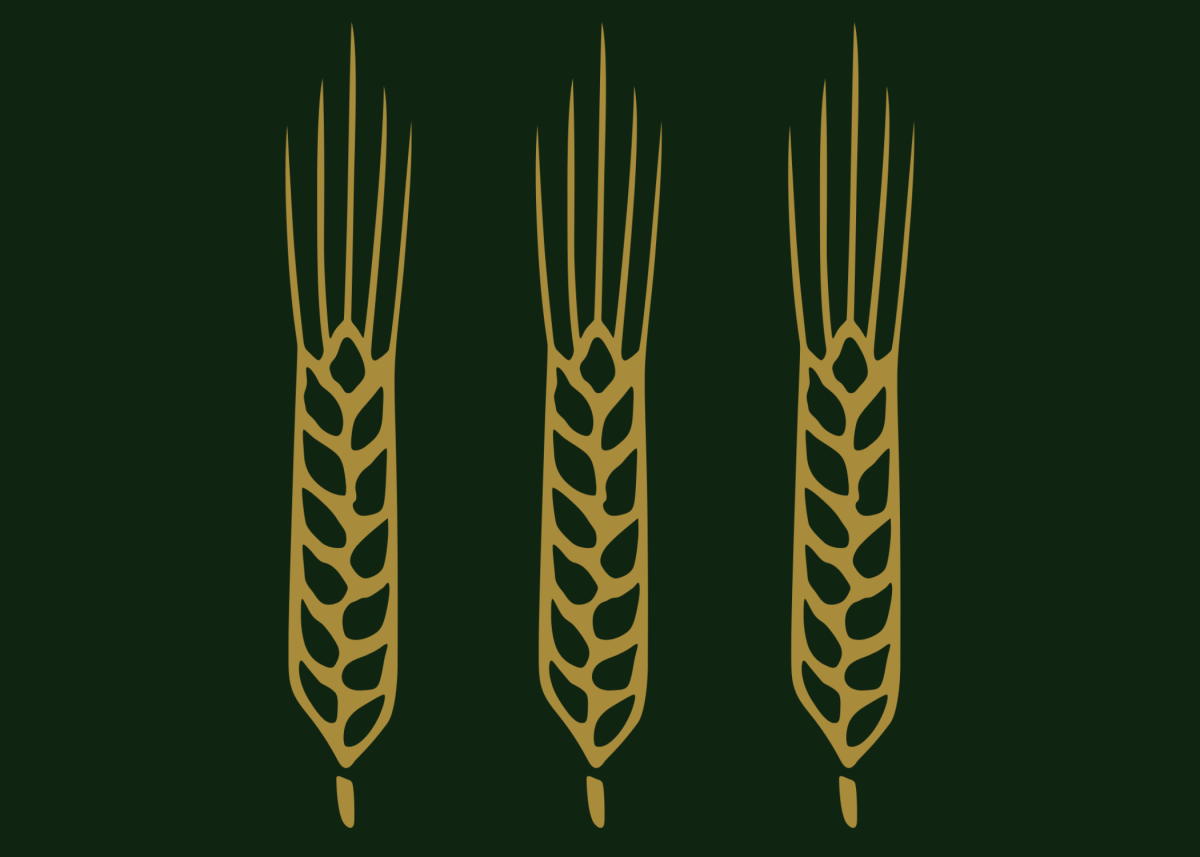 WheatFields Bakery & Café